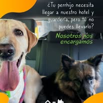 Identidad gráfica de Grand Albergo