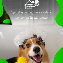 Decoración y actividades especiales